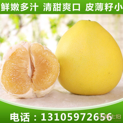 興鑫隆凱新鮮前岐四季柚與平和蜜柚 優質有機柚子批發首選