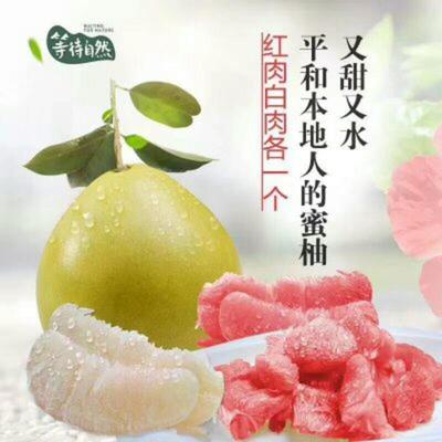 湖北宜昌秭歸縣柚子 沙田柚批發市場探析，0.60元/斤的價格優勢與品質保障